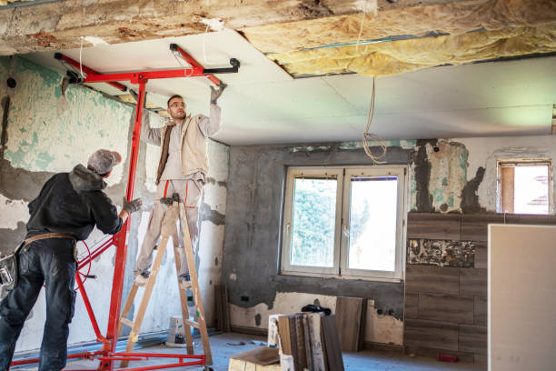 Best Insulation Maintenance and Repair in Nicollet, MN