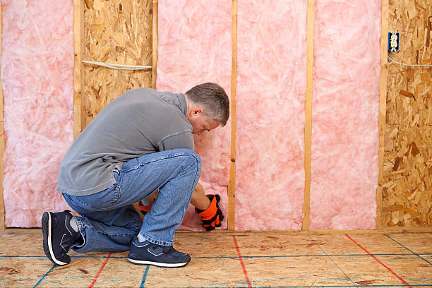 Best Types of Insulation in Nicollet, MN