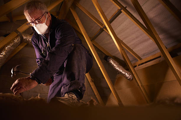 Best Insulation Materials and Products in Nicollet, MN