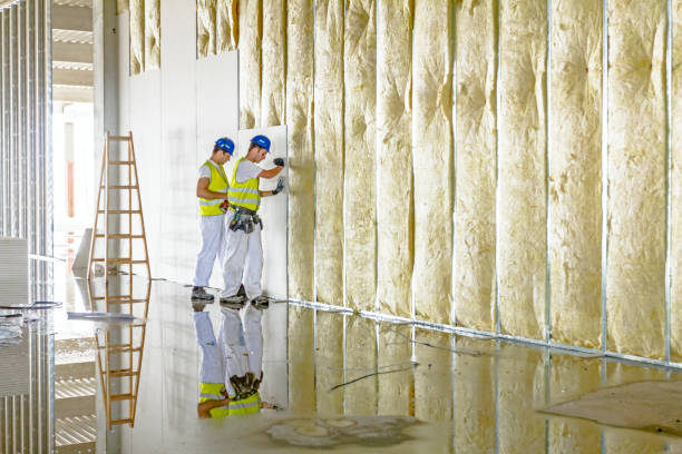 Best Insulation for Specific Applications in Nicollet, MN